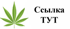 Купить наркотики в Катав-Ивановске